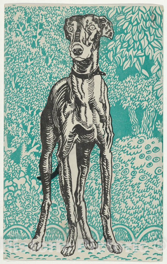 Art Print : Moriz Jung - Greyhound 1 : Vintage Wall Art