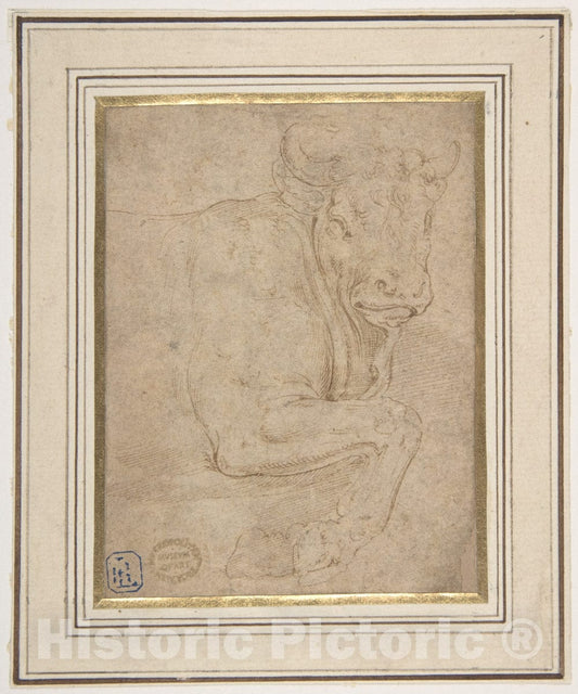 Art Print : Battista Franco - Head and Front Quarters of a Bull : Vintage Wall Art