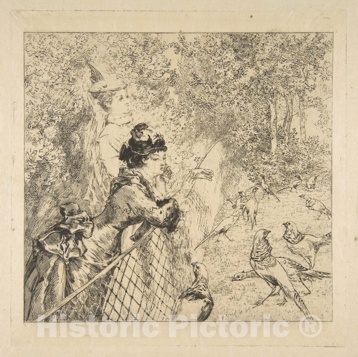 Art Print : Félix Bracquemond - in The Zoological Garden 1 : Vintage Wall Art