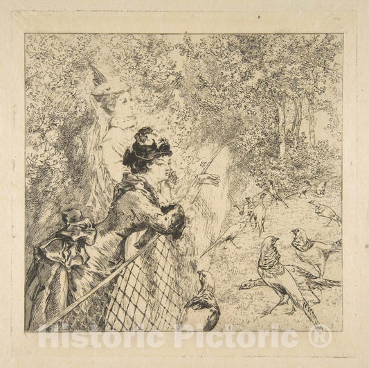 Art Print : Félix Bracquemond - in The Zoological Garden 1 : Vintage Wall Art