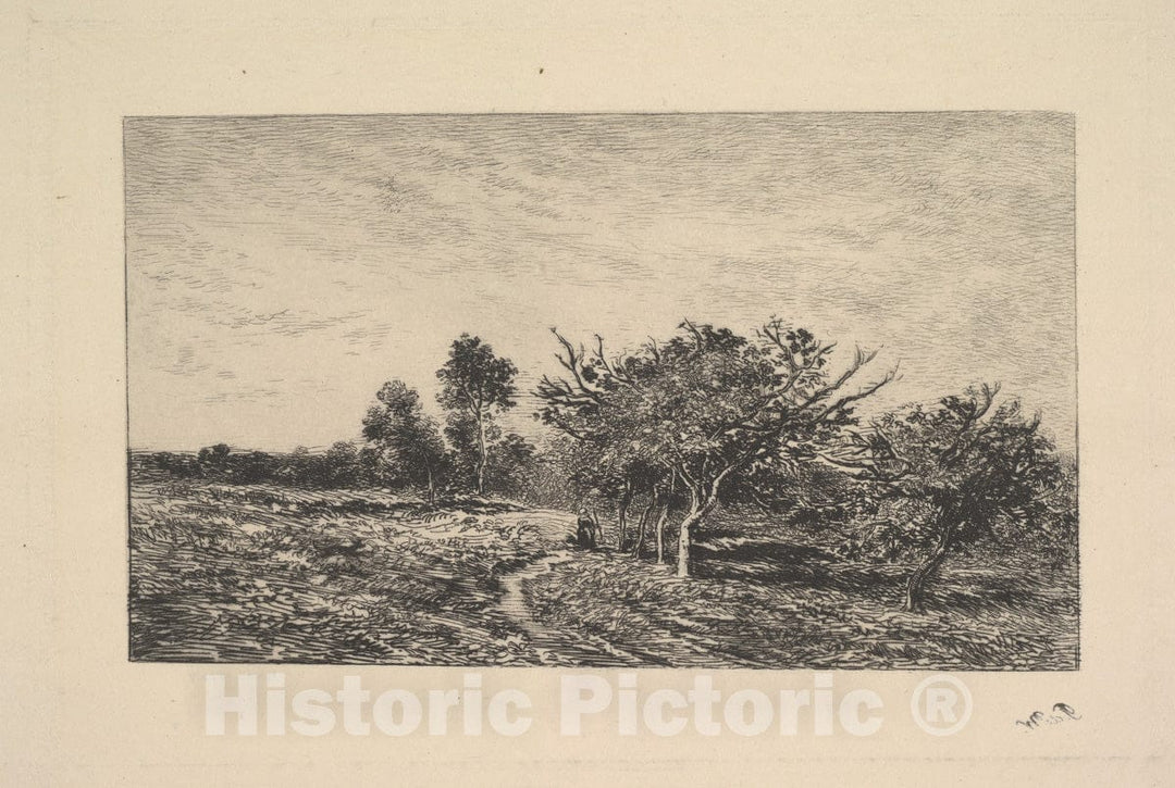 Art Print : Charles-François Daubigny - Apple Trees at Auvers : Vintage Wall Art