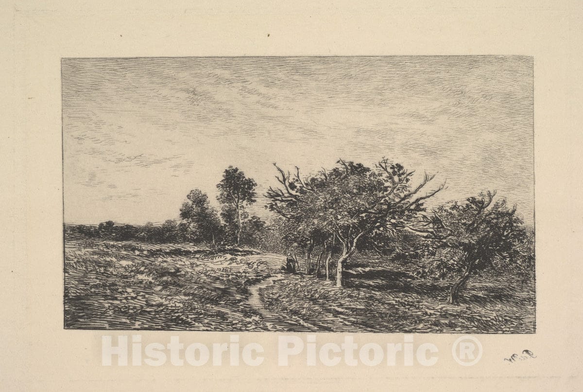 Art Print : Charles-François Daubigny - Apple Trees at Auvers : Vintage Wall Art