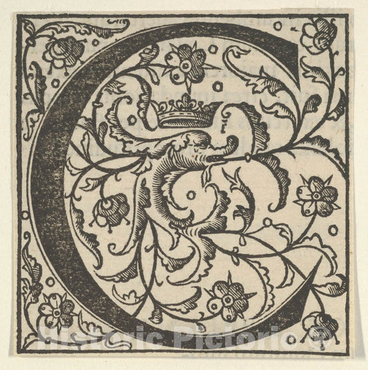 Art Print : Initial Letter C with Dolphin and Crown : Vintage Wall Art