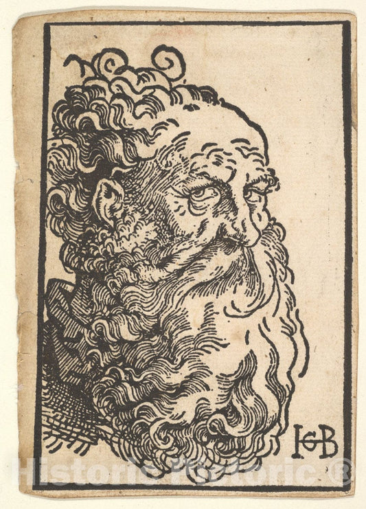 Art Print : Hans Baldung (Called Hans Baldung Grien) - Head of a Bearded Man : Vintage Wall Art