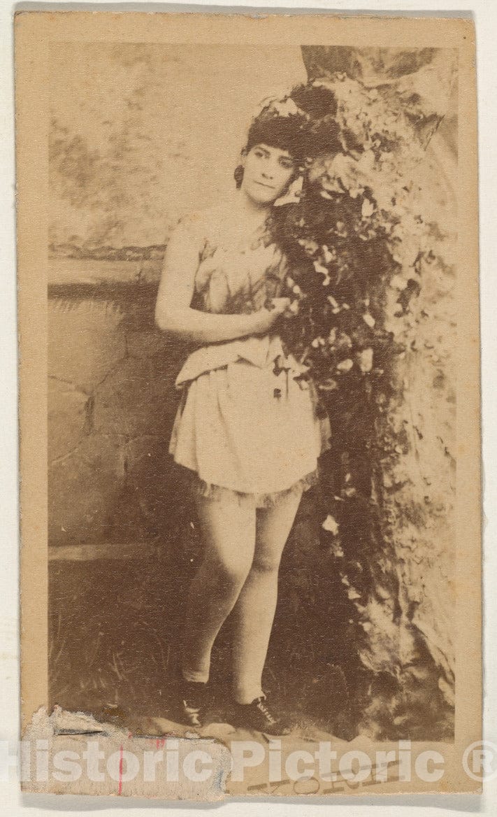Photo Print : Actress Leaning on Ivy-Covered Prop Tree, from The Series Actresses (N674), Promoting New York Dandies : Vintage Wall Art
