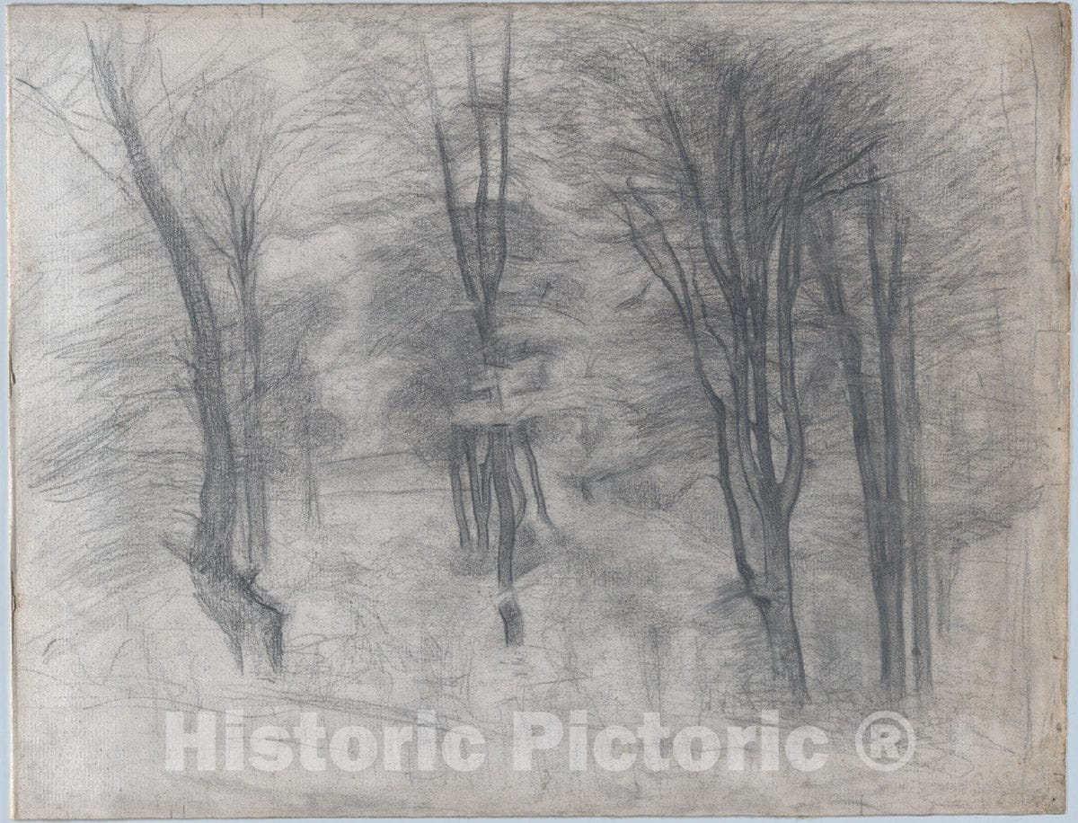 Art Print : Vilhelm Hammershøi - Slender Trees on a Hill : Vintage Wall Art