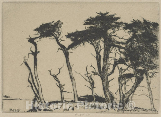 Art Print : Ernest Haskell - The Rhythm of The Cypress : Vintage Wall Art