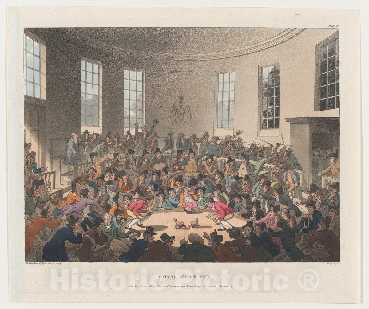 Art Print : Designed and Etched by Thomas Rowlandson - Royal Cockpit (Microcosm of London, Plate 18) : Vintage Wall Art