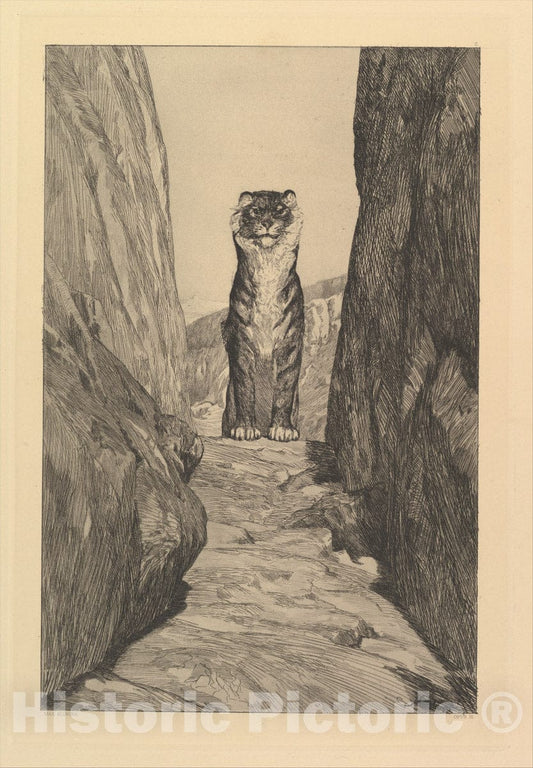 Art Print : Max Klinger - Erste Zukunft from Eva und die Zukunft (Rad.-Werk III) : Vintage Wall Art