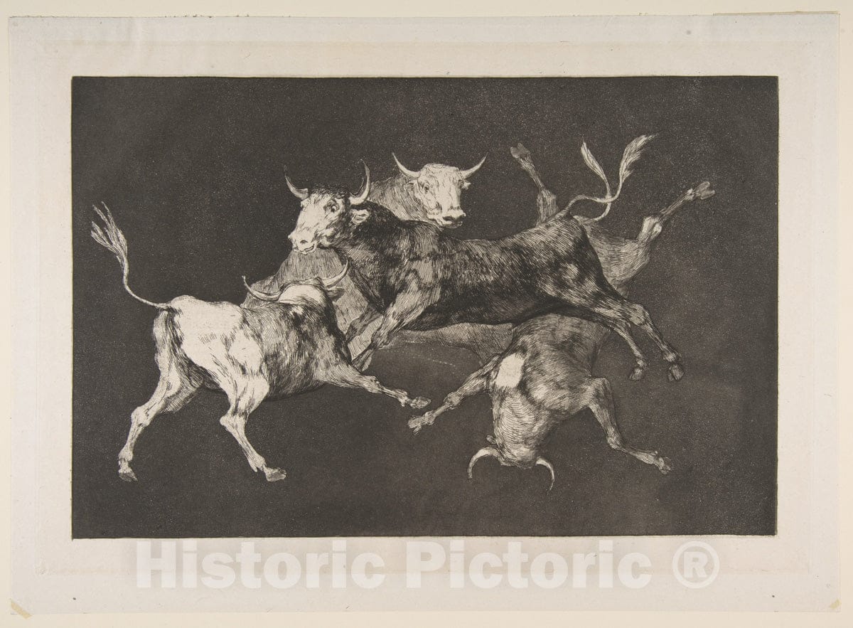 Art Print : Goya - Plate D from The 'Disparates': Fools-'or Little Bulls' - Folly 2 : Vintage Wall Art