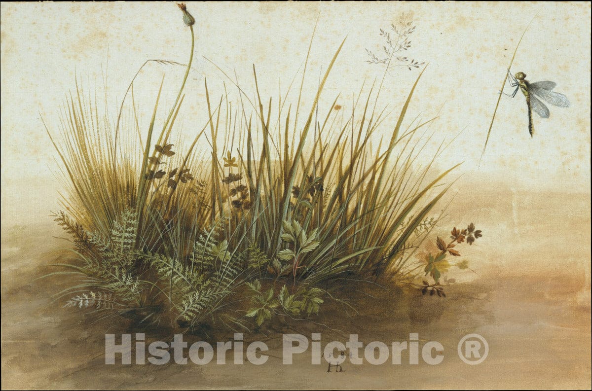 Art Print : Hans Hoffmann - A Small Piece of Turf : Vintage Wall Art