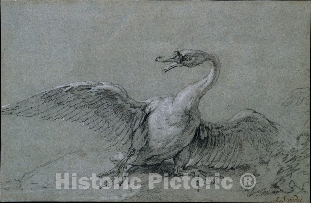 Art Print : Jean-Baptiste Oudry - Angry Swan : Vintage Wall Art