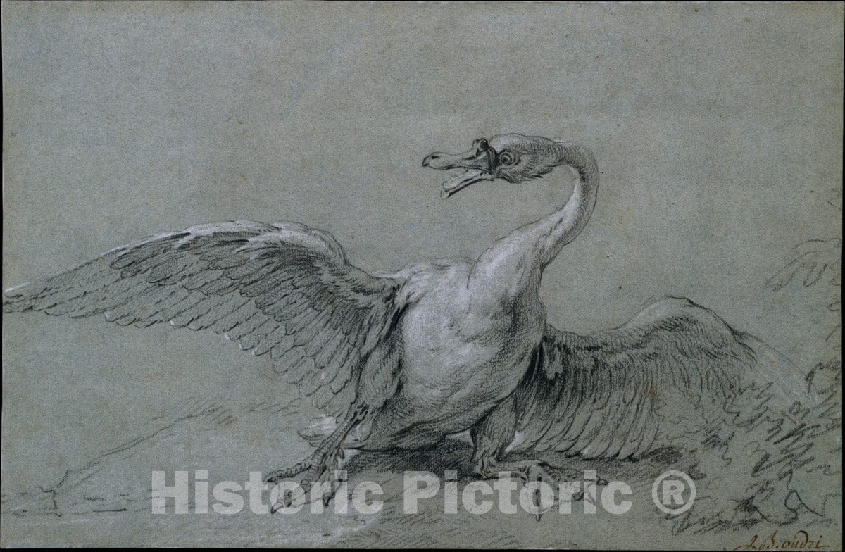 Art Print : Jean-Baptiste Oudry - Angry Swan : Vintage Wall Art