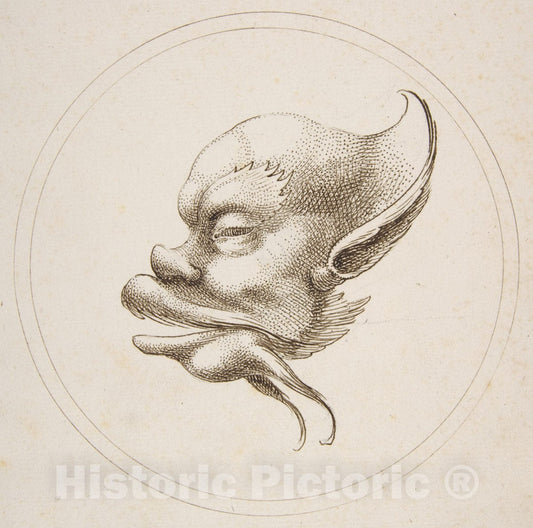 Art Print : Gaetano Piccini - Grotesque Head with a Large Eyebrow Looking to The Left Within a Circle : Vintage Wall Art