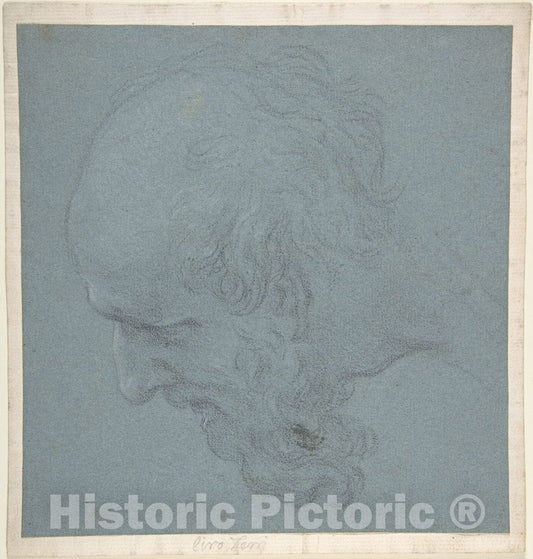 Art Print : Ciro Ferri - Head of a Bearded Man Looking to Upper Left : Vintage Wall Art