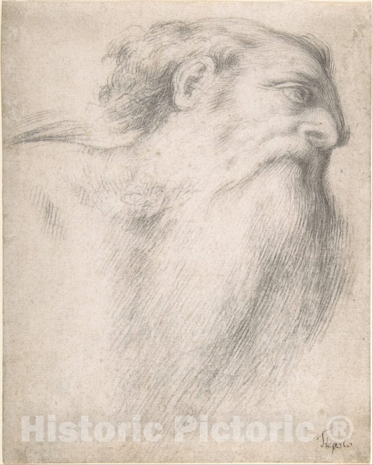 Art Print : Lorenzo Lotto - Head of a Bearded Man : Vintage Wall Art
