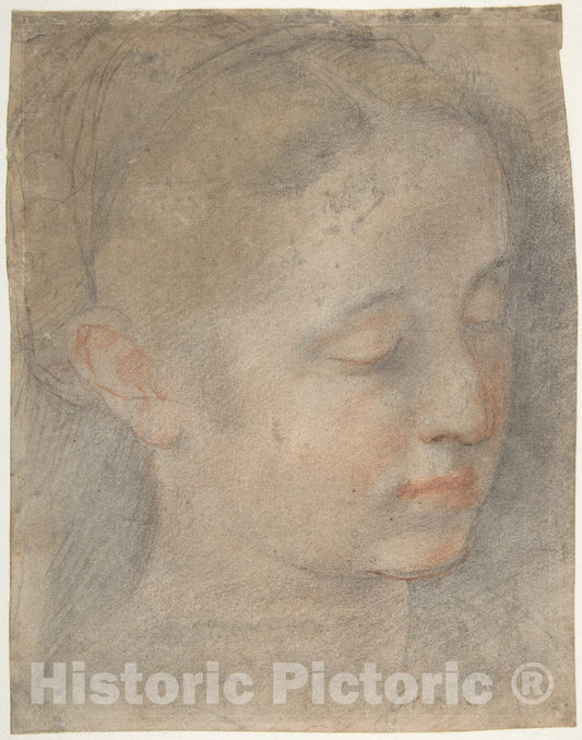 Art Print : Federico Barocci - Head of a Young Woman Looking to Lower Right : Vintage Wall Art