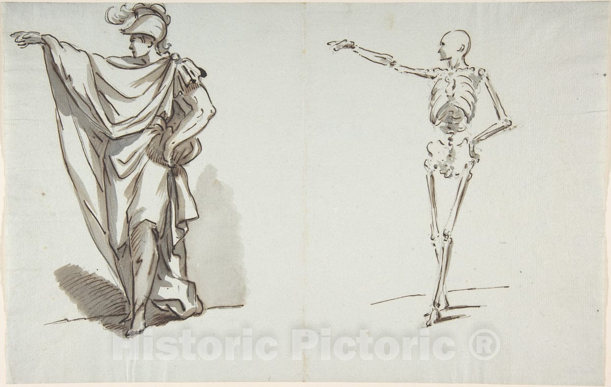 Art Print : French, 18th Century - Anatomical Drawing v.1 : Vintage Wall Art