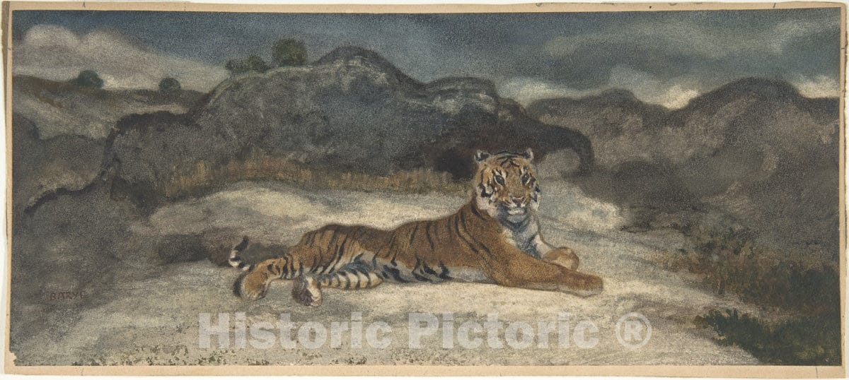Art Print : Antoine-Louis Barye - Royal Tiger : Vintage Wall Art