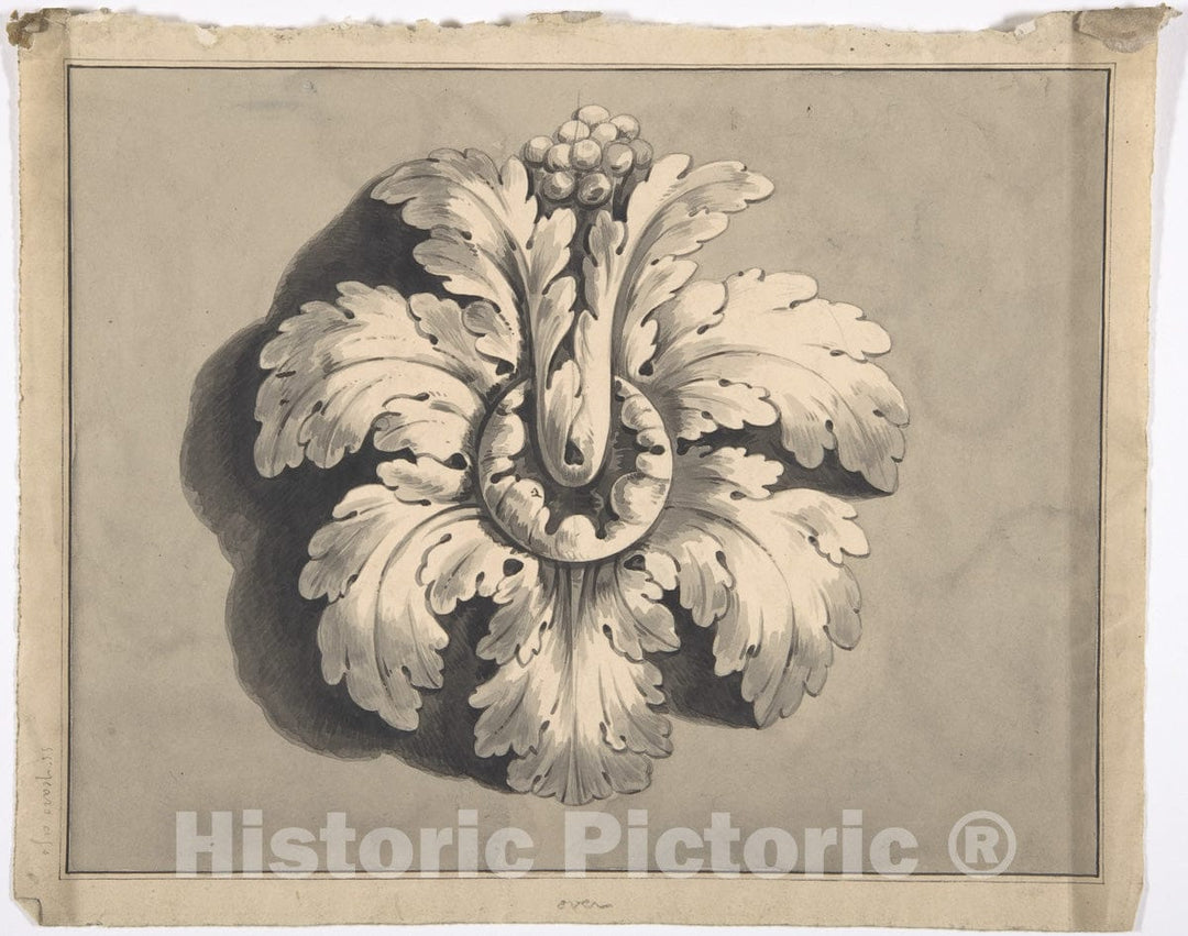 Art Print : British, 19th Century - Design for a Boss Carved with Acanthus : Vintage Wall Art