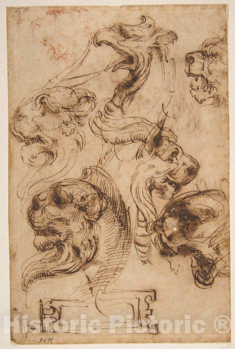 Art Print : Pellegrino Tibaldi - Six Studies of Animal Heads and of a Cartouche : Vintage Wall Art
