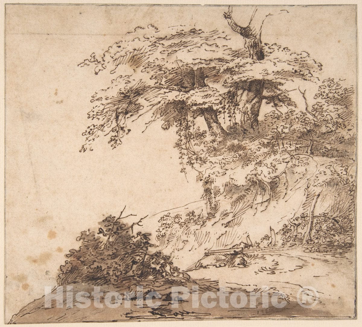 Art Print : Anthony Van Dyck - A Group a Trees : Vintage Wall Art