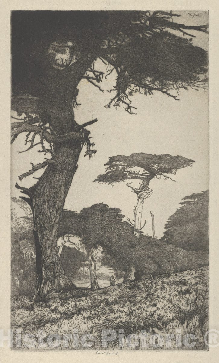Art Print : Ernest Haskell - Cypress Vale : Vintage Wall Art