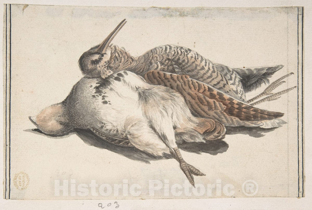 Art Print : Count Giorgio Durante (Duranti) - Dead Birds. : Vintage Wall Art