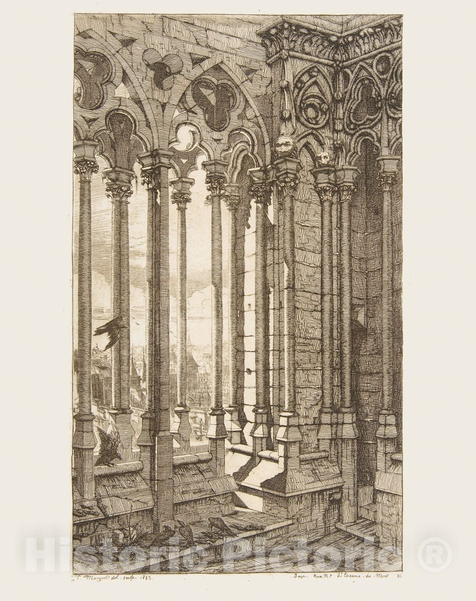 Art Print : Charles Meryon - Gallery, Nôtre-Dame Cathedral, Paris : Vintage Wall Art