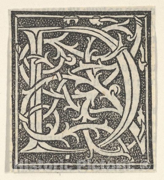 Art Print : Anonymous, Italian, 16th Century - Initial Letter D on Patterned Background : Vintage Wall Art