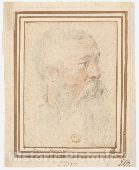 Art Print : Girolamo Mazzola Bedoli - Head of Bearded Man (Recto)