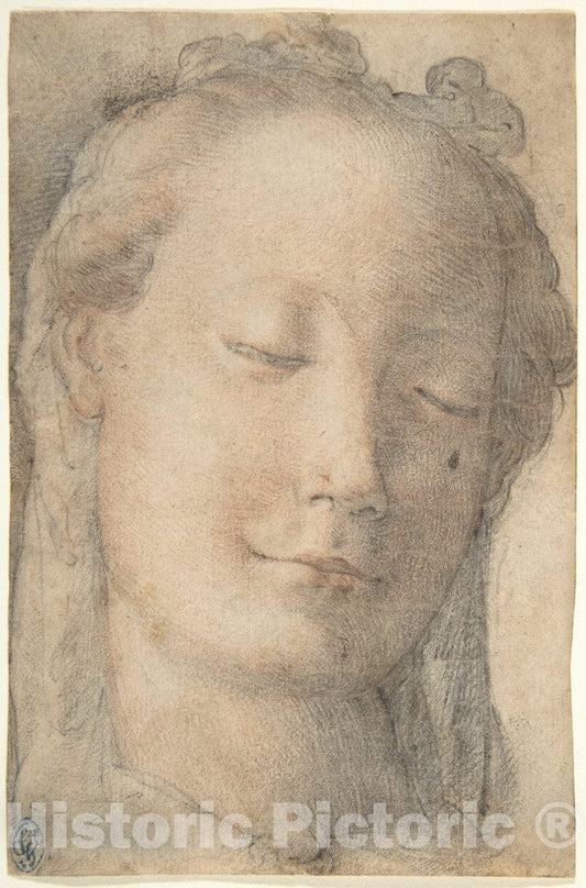Art Print : Italian, Florentine, 16th Century - Head of a Young Woman in Three-Quarter View Facing Right, with Lowered Eyes : Vintage Wall Art