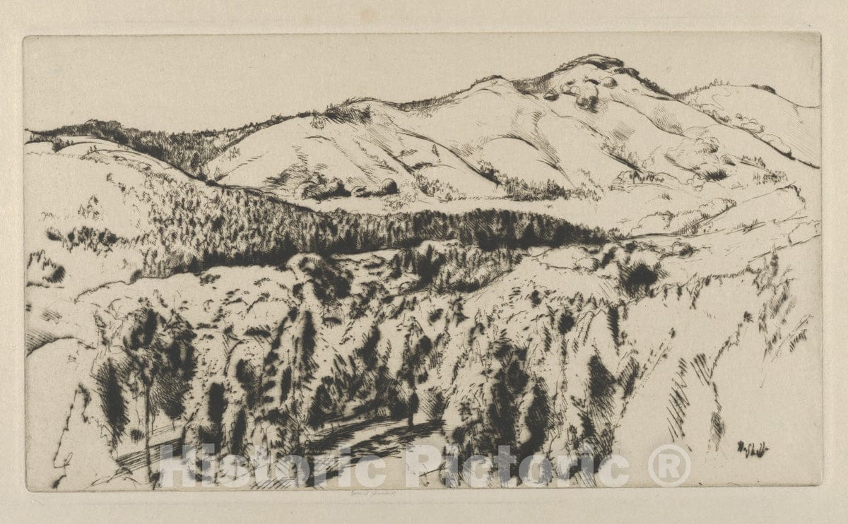 Art Print : Ernest Haskell - Old Grizzly : Vintage Wall Art