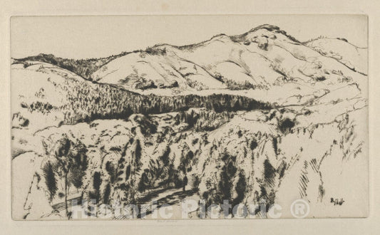Art Print : Ernest Haskell - Old Grizzly : Vintage Wall Art