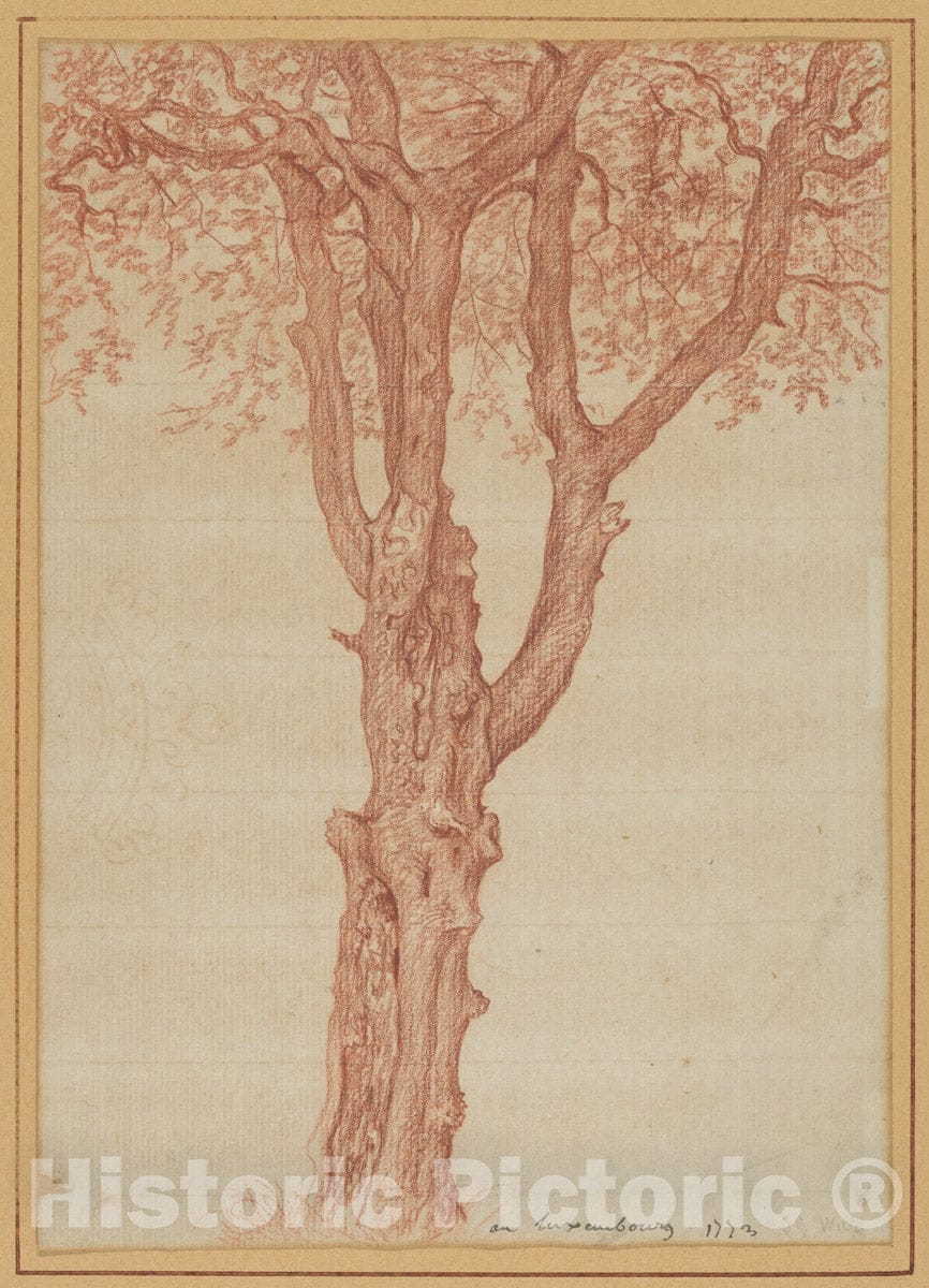 Art Print : Pierre Henri de Valenciennes - Study of a Tree in The Luxembourg Gardens : Vintage Wall Art