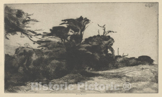 Art Print : Ernest Haskell - Cypress Study No. 2 : Vintage Wall Art