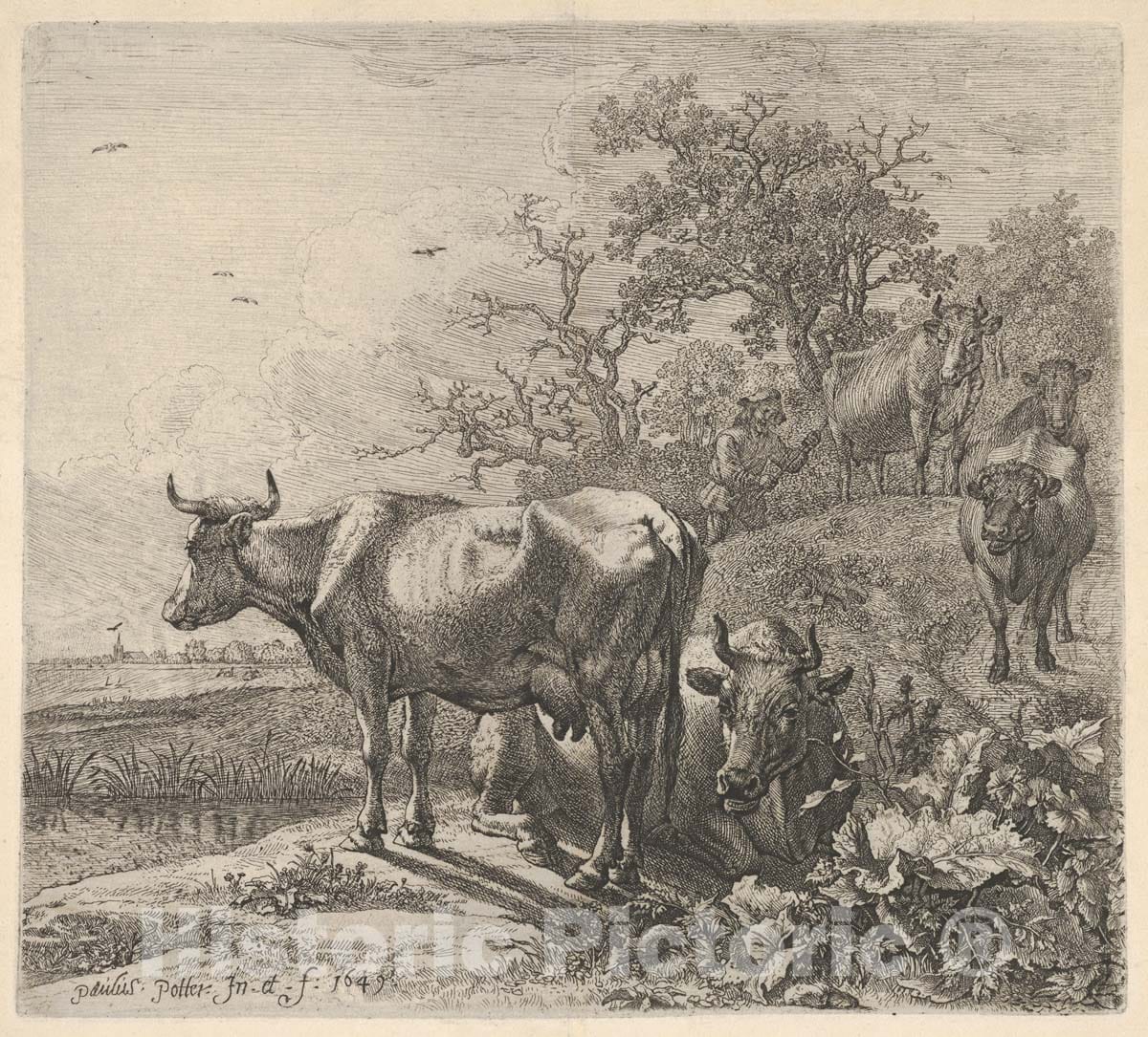 Art Print : Paulus Potter - Cowherd Driving Three Horned Cattle Before him; Below, in The Foreground, a Recumbent Steer and a Standing Steer, Marsh and Trees Beyond : Vintage Wall Art