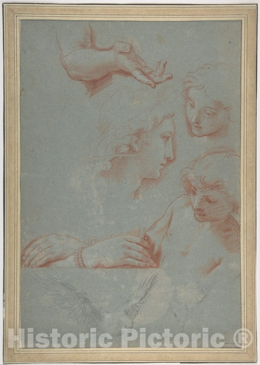 Art Print : Luigi Garzi - Sheet of Studies: Heads, Hands, and Doves : Vintage Wall Art