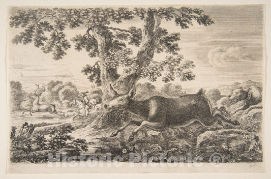 Art Print : Stefano Della Bella - Deer Hunt, from 'Animal Hunts' (Chasses à différents animaux) : Vintage Wall Art