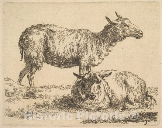 Art Print : Nicolaes Berchem - from The Set of Sheep 2 : Vintage Wall Art