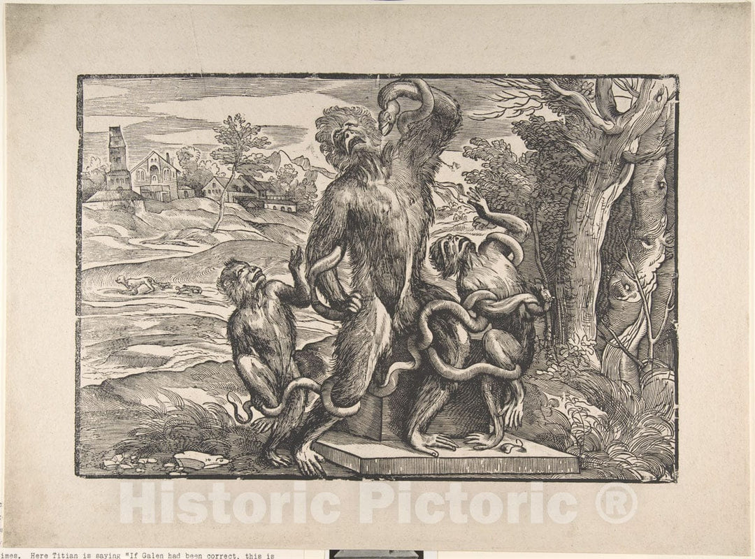 Art Print : Nicolò Boldrini - Caricature of The Laocoön : Vintage Wall Art