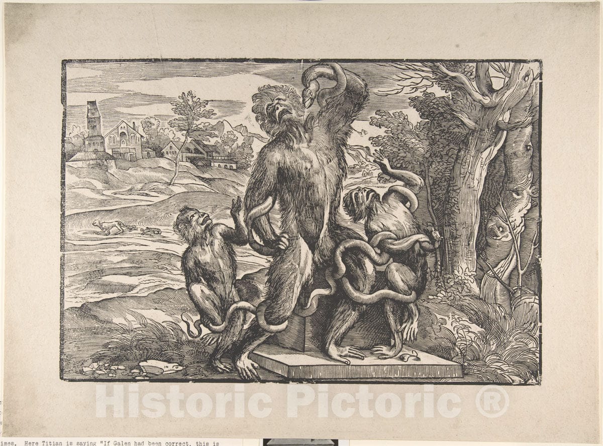 Art Print : Nicolò Boldrini - Caricature of The Laocoön : Vintage Wall Art