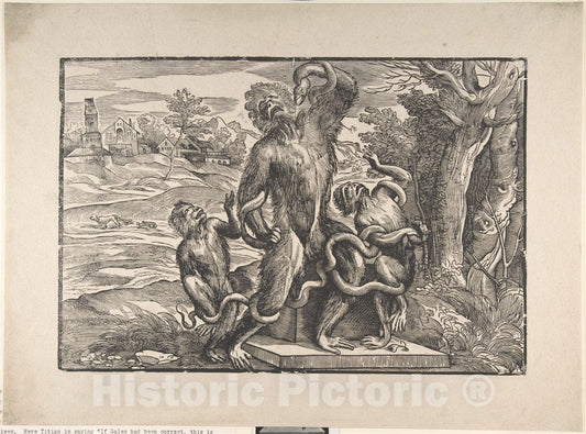 Art Print : Nicolò Boldrini - Caricature of The Laocoön : Vintage Wall Art