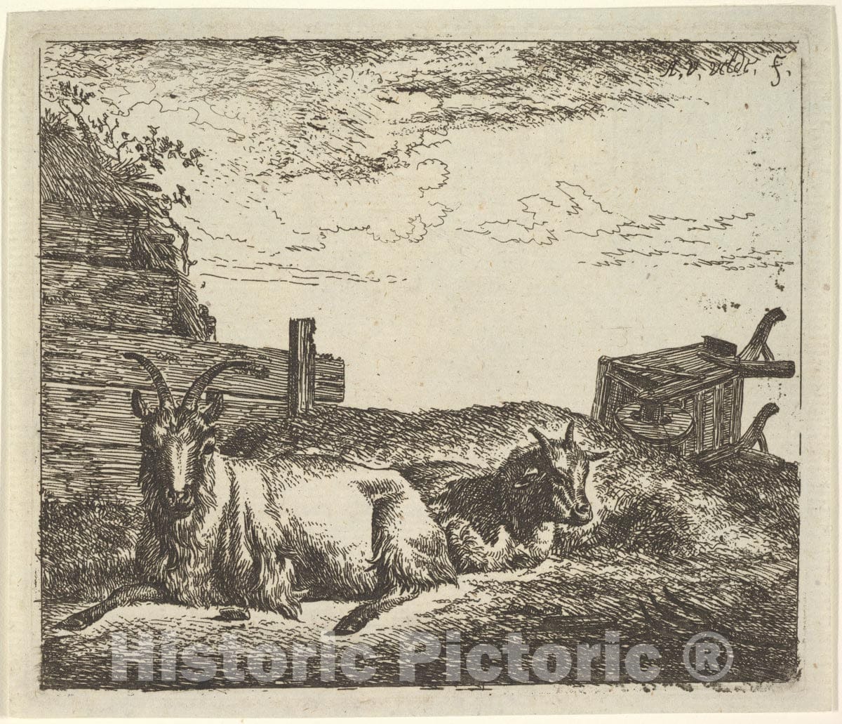 Art Print : Adriaen Van de Velde - Recumbent Goats, from Different Animals : Vintage Wall Art