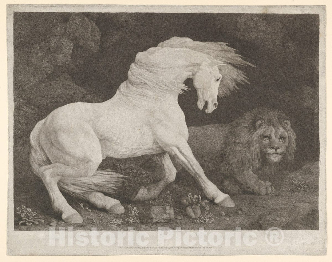 Art Print : George Stubbs - A Horse Affrighted at a Lion : Vintage Wall Art