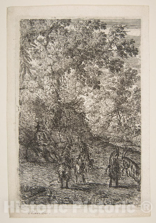 Art Print : Claude Lorrain (Claude Gellée) - Four Goats (Left Section of The Goats) 1 : Vintage Wall Art