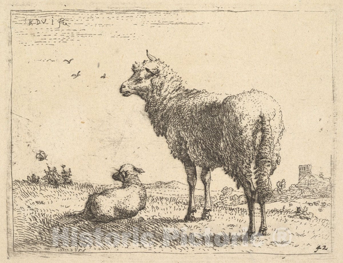Art Print : Karel Dujardin - A Mature Sheep in Three-Quarters View Standing and Looking Left, Beside it a Lamb Lies on The Grass : Vintage Wall Art