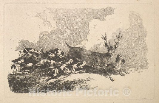 Art Print : Thomas Rowlandson - Hounds Hunting a Stag : Vintage Wall Art