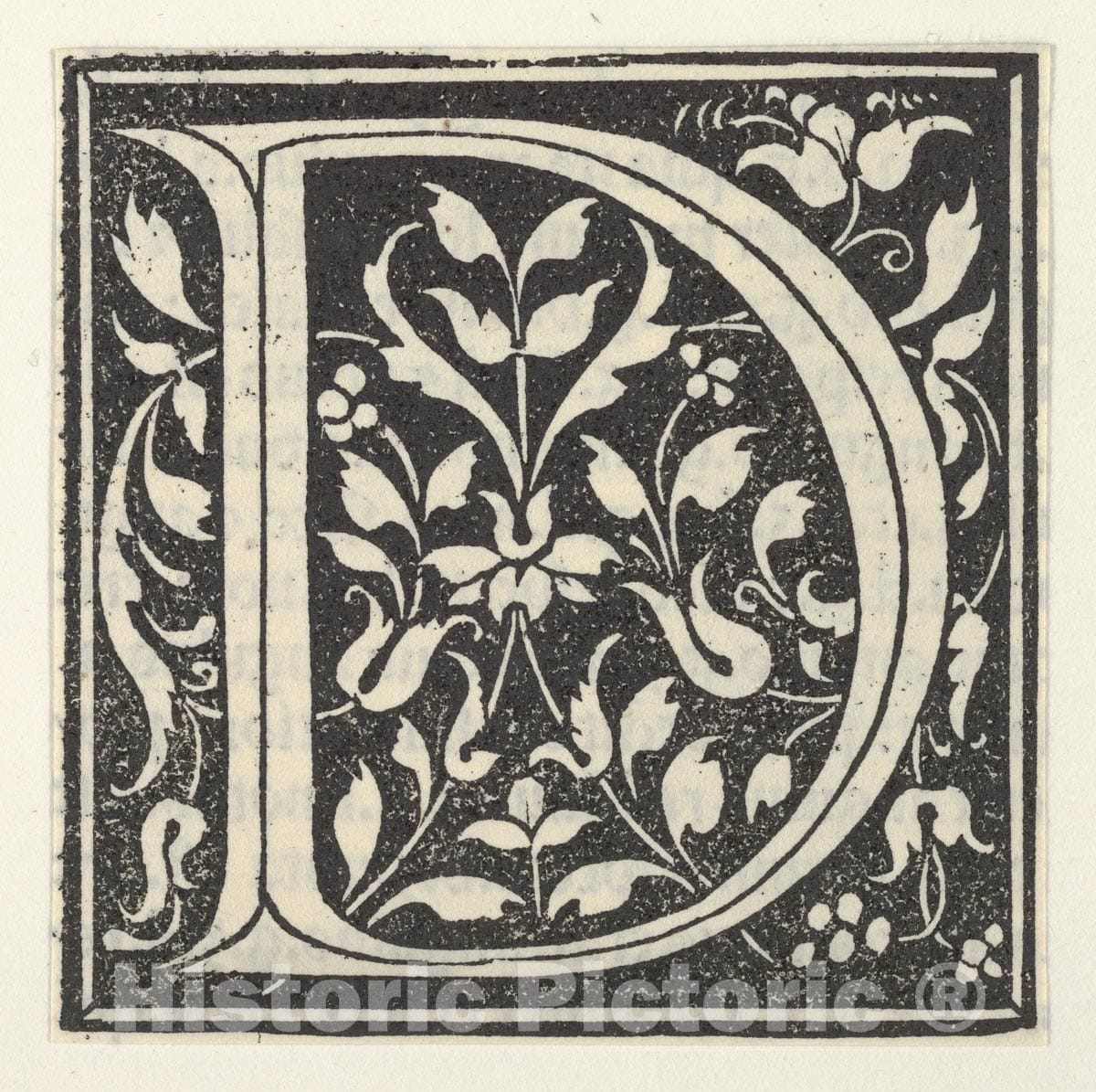Art Print : Anonymous, Italian, 15th Century - Initial Letter D : Vintage Wall Art