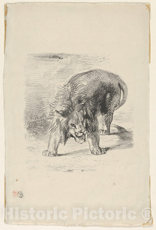 Art Print : Eugène Delacroix - Lion Standing : Vintage Wall Art